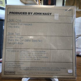 The Tweeds – Perfect Fit // LP