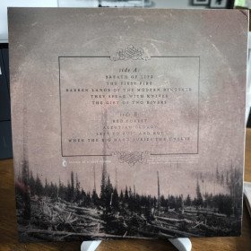 If These Trees Could Talk – Red Forest // LP, Limited Edition, Clear With Red & Black Splatter