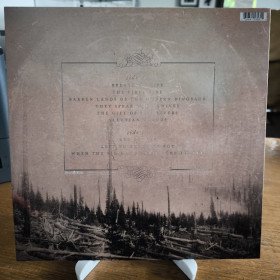 If These Trees Could Talk – Red Forest // LP