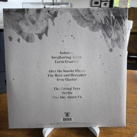 If These Trees Could Talk – The Bones Of A Dying World // 2LP