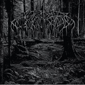 Wolves In The Throne Room – 2005 Demo // 12", Limited, Black Ice