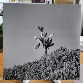 Sylvain Chauveau & Ensemble Nocturne – Down To The Bone // LP
