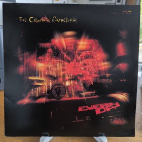 The Cinematic Orchestra – Every Day // 2LP