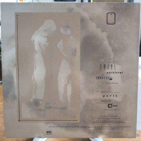 In The Nursery – Twins // LP