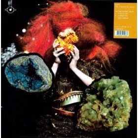 Björk – The Crystalline Series (Matthew Herbert Mixes) // 12"