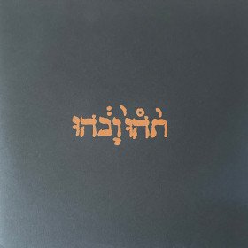 Godspeed You Black Emperor! – Slow Riot For New Zero Kanada E.P. // 12"