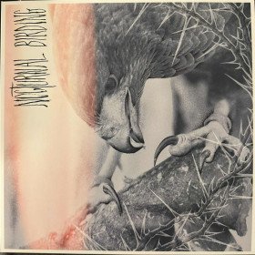 Author & Punisher – Nocturnal Birding // LP, ltd, Custom merge