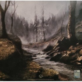 Saor – Forgotten Paths // LP