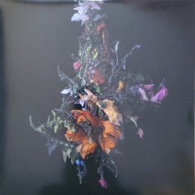 Big Brave ‎– Nature Morte // LP, Limited Edition, Pink