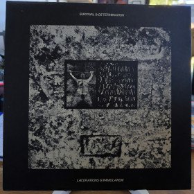 Die Form ‎– Some Experiences With Shock // LP, Limited Edition