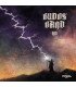 The Budos Band – VII // LP, coloured