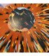 Dope D.O.D. – Branded // 2LP, Numbered, Black & Orange Splatter