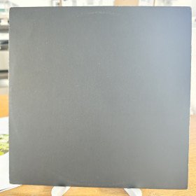 Panda Dub Meets Mahom ‎– Skank Lab 1 - Mahom Meets Panda Dub // 12"