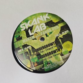 Panda Dub Meets Mahom ‎– Skank Lab 1 - Mahom Meets Panda Dub // 12"
