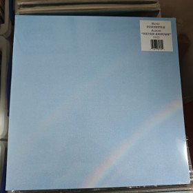 Turnstile – Never Enough // LP