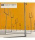 Muse – Origin Of Symmetry // 2LP