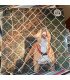 Knocked Loose – Pop Culture // 12", Black Ice w/ White Splatter