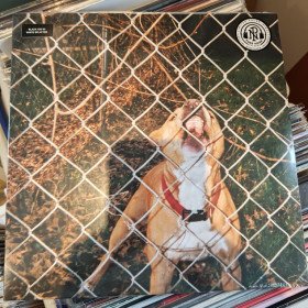 Knocked Loose – Pop Culture // 12", Black Ice w/ White Splatter
